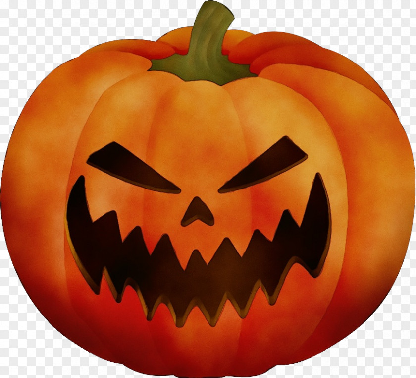 Cucurbita Fruit Pumpkin PNG