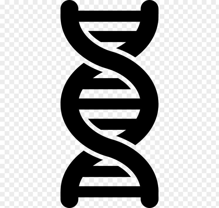Dna Backgaund DNA Genetics Clip Art PNG