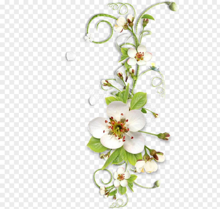 Floral Pattern Flower Software Clip Art PNG