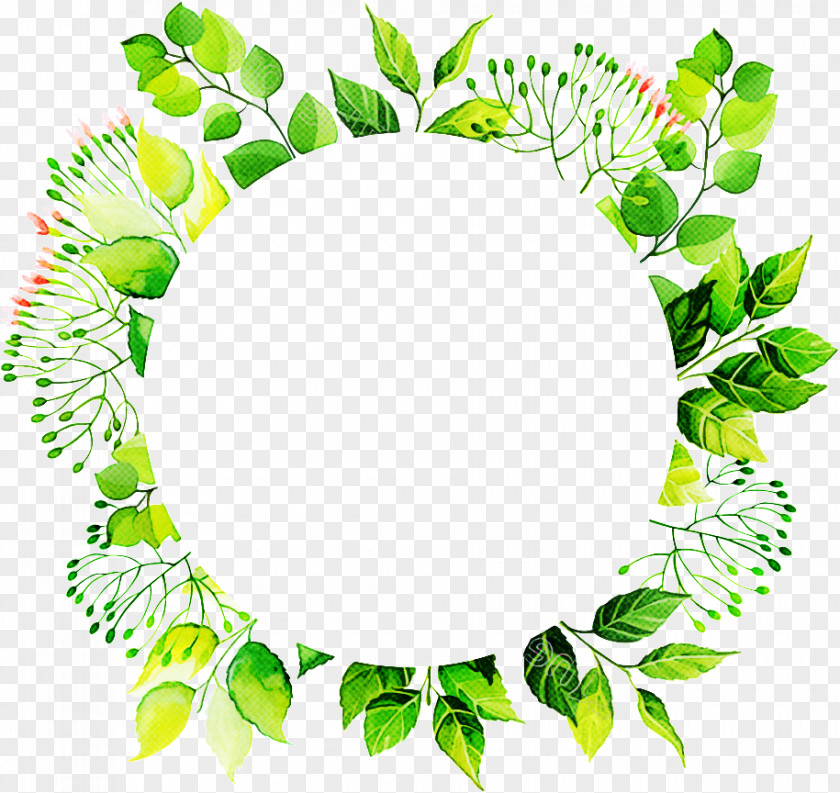 Green Leaf Circle Plant Flower PNG