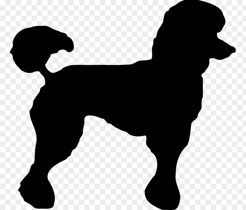 Puppy Poodle Border Collie Village Groomer Clip Art PNG