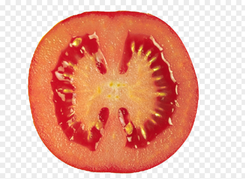Tomato Doctrine Of Signatures Health Organ Food PNG of signatures Food, tomato clipart PNG