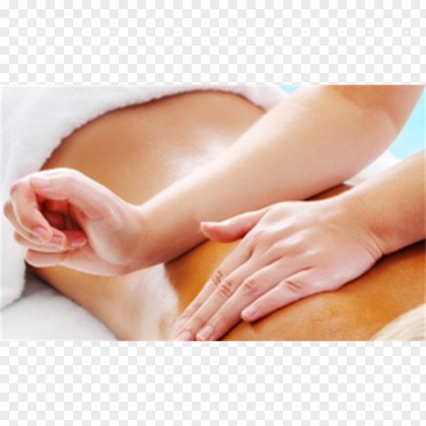 Massage Therapy Lomilomi Thai Lomi-lomi Salmon Spa PNG