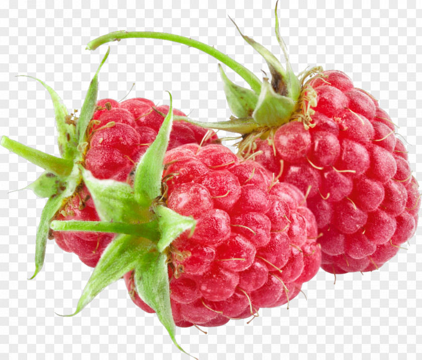 Raspberry Red Everbearing Photography Clip Art PNG