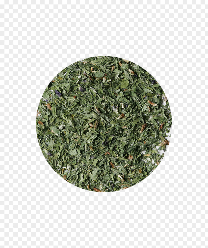 Alfalfa Tea Organic Food Red Clover Sencha PNG