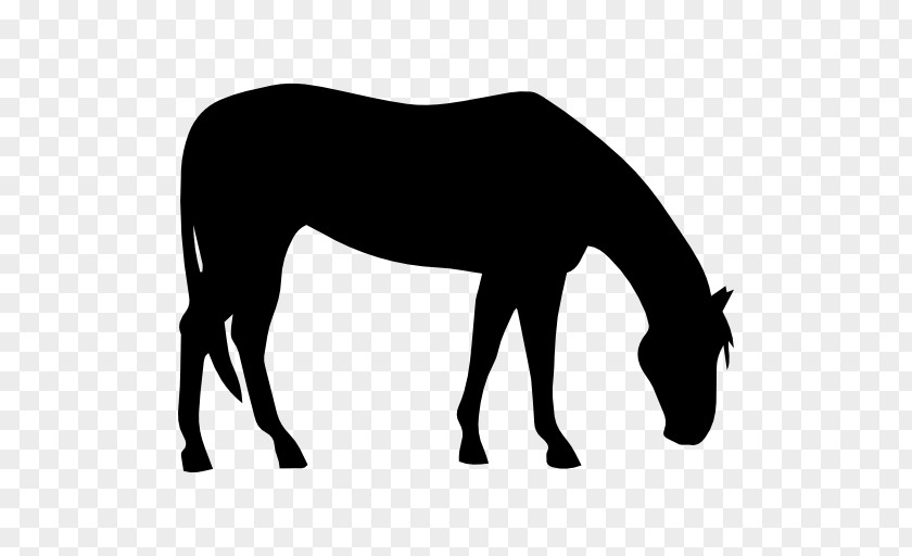 Black Pasture Silhoute American Quarter Horse Paint Silhouette Clip Art PNG