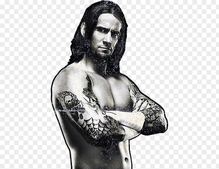 CM Punk WWE Professional Wrestling Ring Of Honor Impact PNG wrestling of Wrestling, cm punk clipart PNG