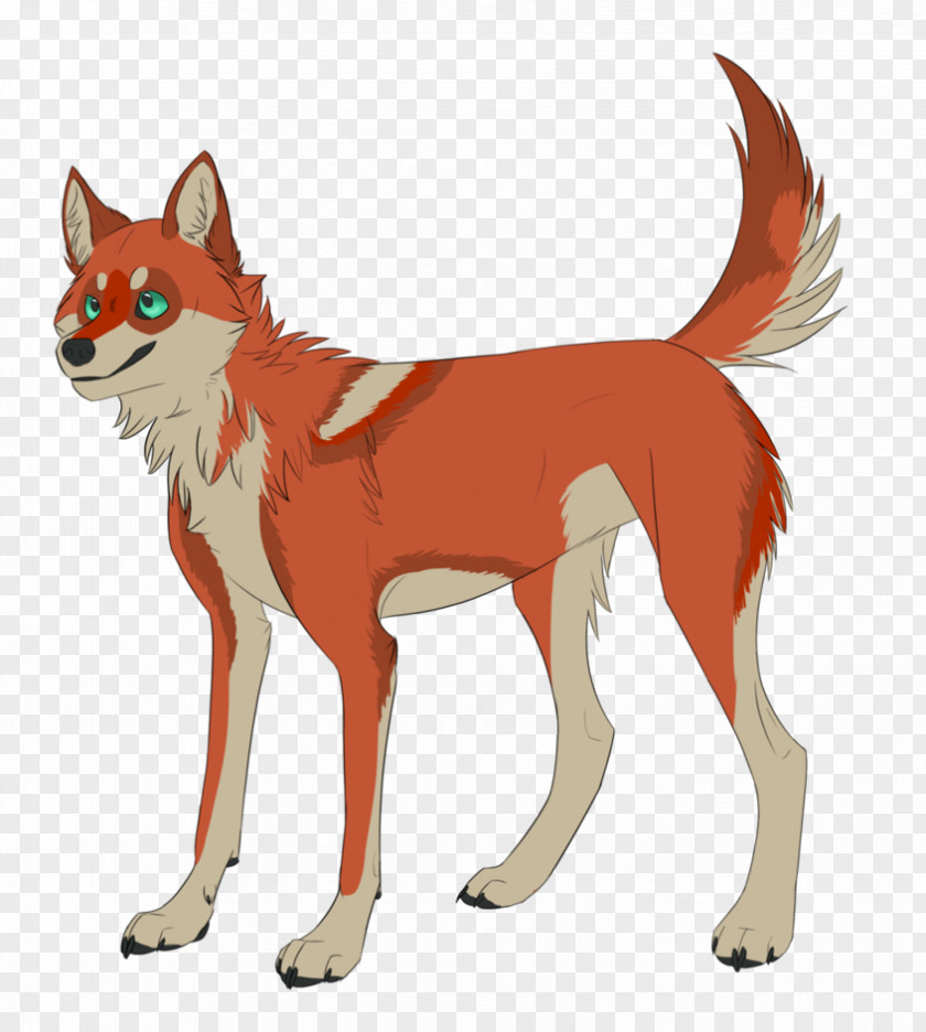 Dog Red Fox Dhole Jackal Wolf PNG