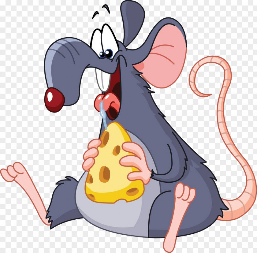 Mouse Eating Cheese Rat Clip Art PNG