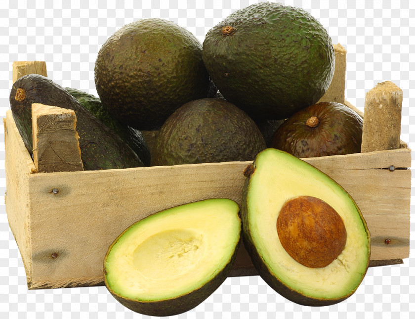 Avocado Guacamole Food Low-fat Diet PNG