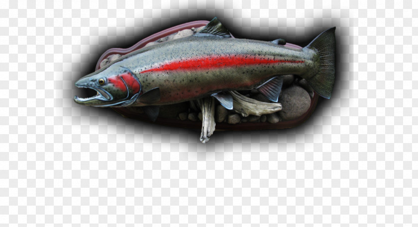 Brook Trout Sardine Fish Products 09777 Oily Mackerel PNG
