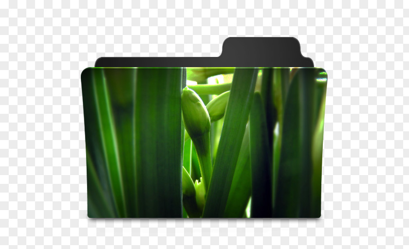Green Flower Desktop Wallpaper Directory Leaf Icon PNG