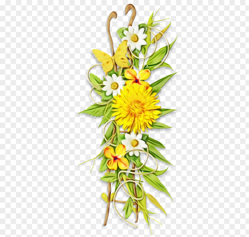 Petal Flowering Plant Floral Design PNG