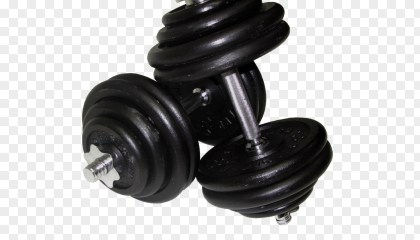 Suspension Part Sports Equipment Dumbbell Weight Training Exercise Physical Fitness Barbell PNG