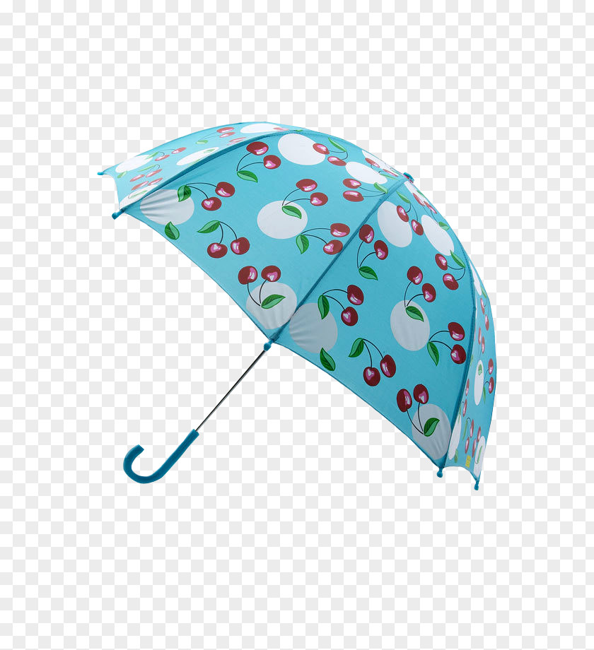 Umbrella Turquoise PNG