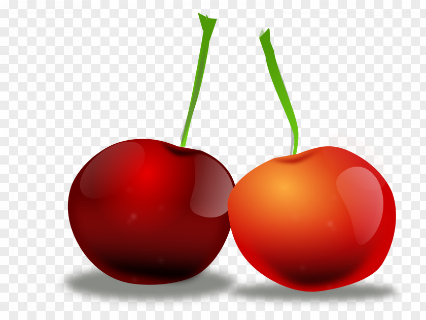 Wild Cherry Clip Art PNG