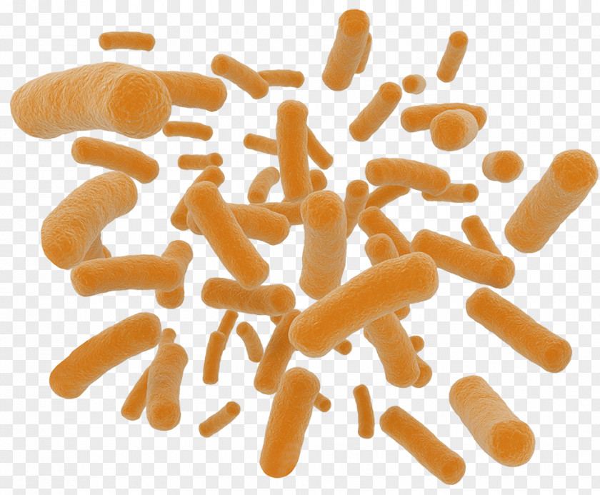 Dust Powder Probiotic Dietary Supplement Health Nutrient Prebiotic PNG