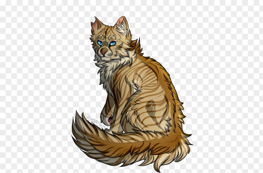 Kitten Whiskers Wildcat Tabby Cat PNG