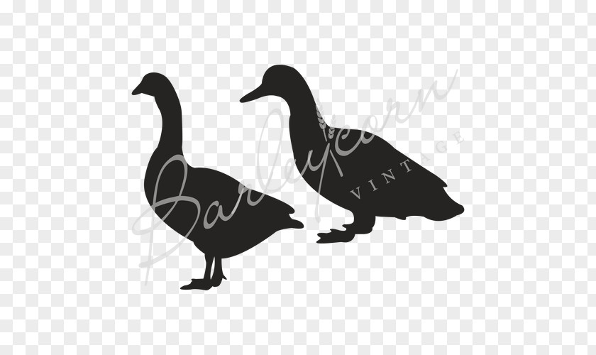 Duck Goosey Gander Stencil Schablone PNG