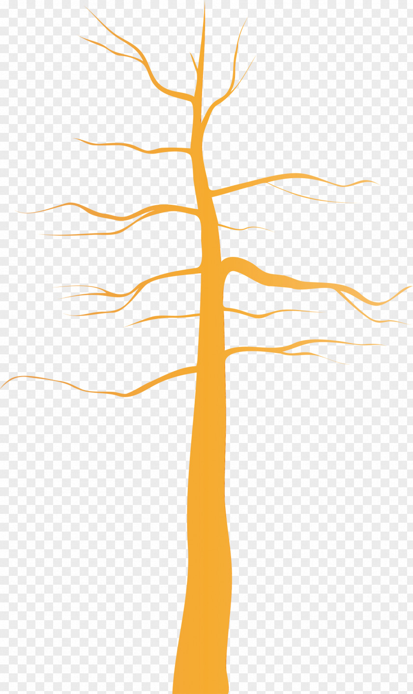 Line Tree Branch Plant Stem PNG