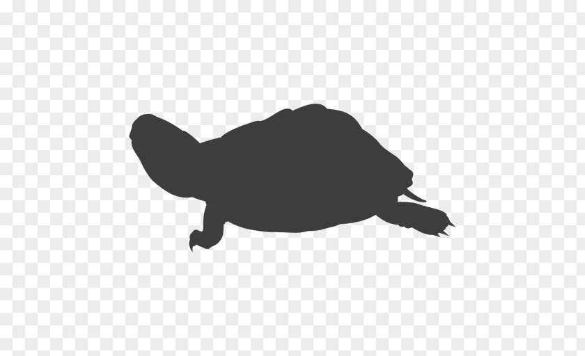 Turtle Clip Art Image Silhouette PNG