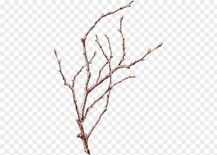 Winter Branch Creative Download Template PNG