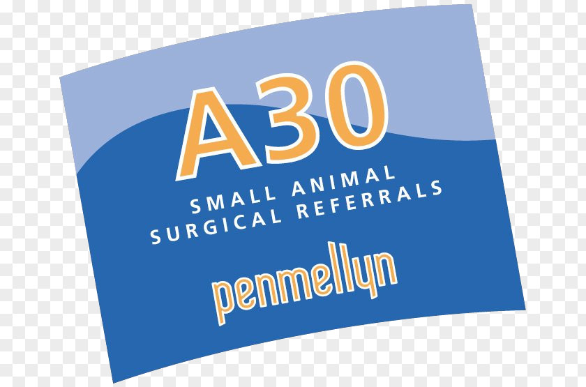 Case Dental Loupes Penmellyn Vets St Columb Logo Brand A30 Road Banner PNG