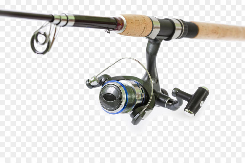 Fishing Rod Spin Angling Line PNG
