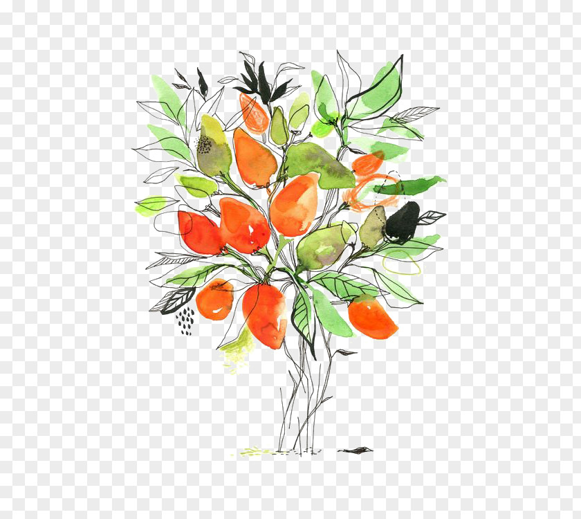 Hand-painted Watercolor Mango Painting Floral Design Cartoon Illustration PNG