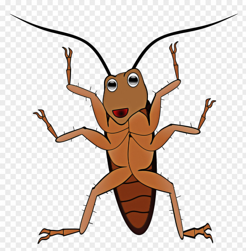 Longhorn Beetle Ant Insect Pest Clip Art Mantidae PNG