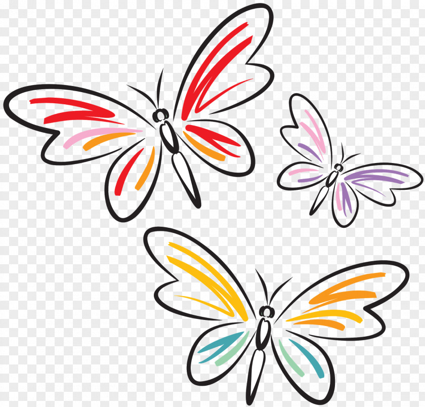 Vector Butterfly Clip Art PNG