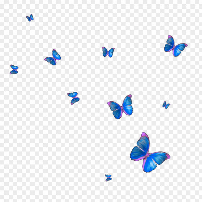 Butterfly Frame Monarch Insect PNG