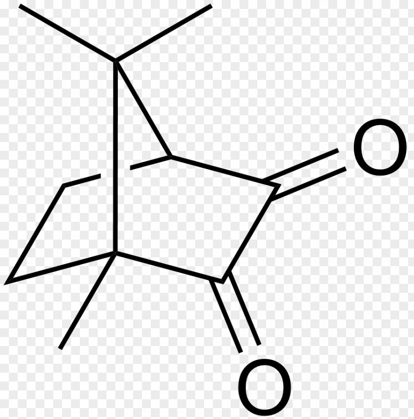 Heptane Norbornane Camphor Borneol Substance Theory PNG