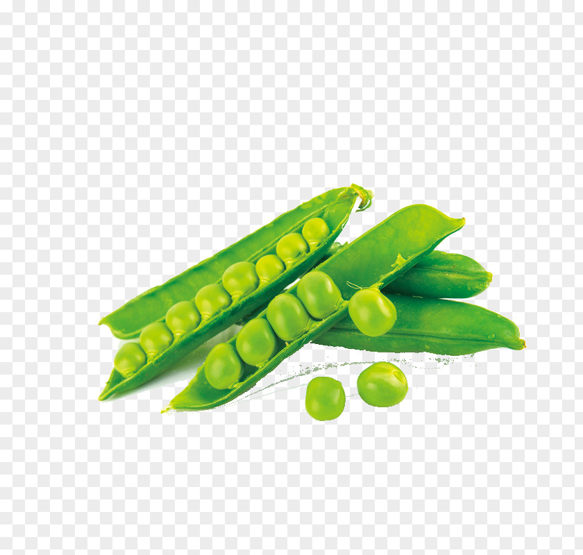 Pea Snap Protein Bean PNG