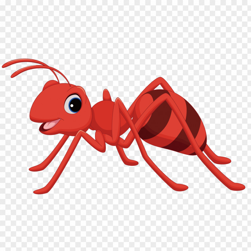 Red Ants Ant Cartoon Clip Art PNG