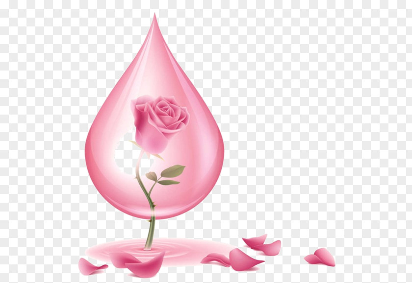 Rose Water Oil Skin Care PNG