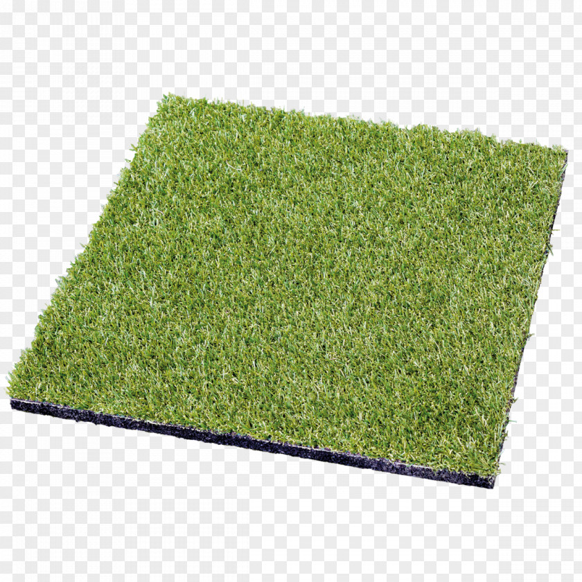 Turf Lawn Artificial Plant Shrub Rectangle PNG