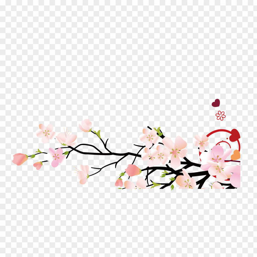 Vector Sakura Japan Cherry Blossom Bird-and-flower Painting PNG