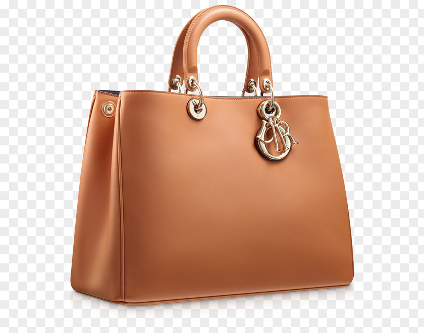 Bag Handbag Christian Dior SE Fashion Leather PNG