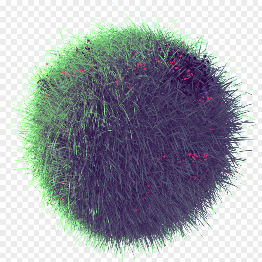 Lovely Grass Fur PNG