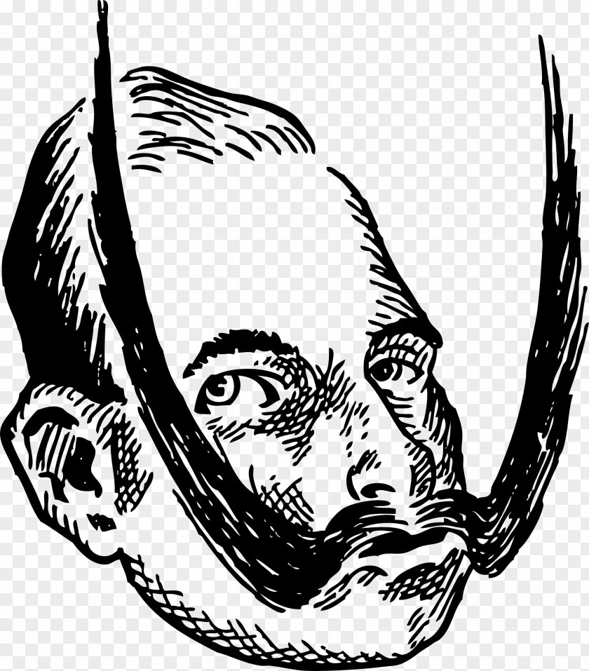 Moustache Clip Art PNG