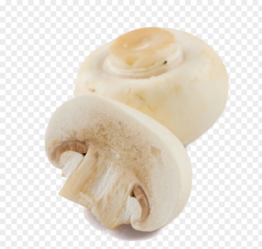 Two Fresh Mushroom Longquan Shiitake Fungus Vegetable PNG