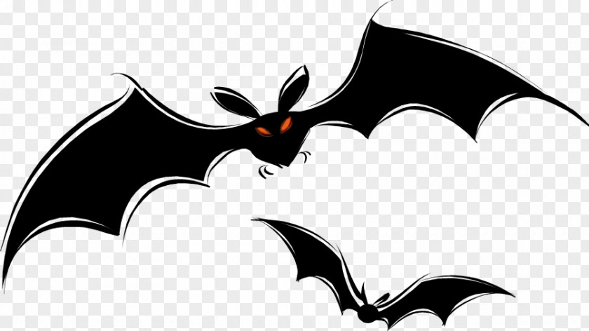 Wing Logo Bat Cartoon PNG