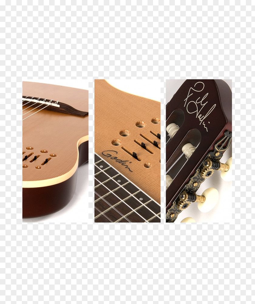 Brand Bag Godin Classical Guitar Electric Acoustic PNG