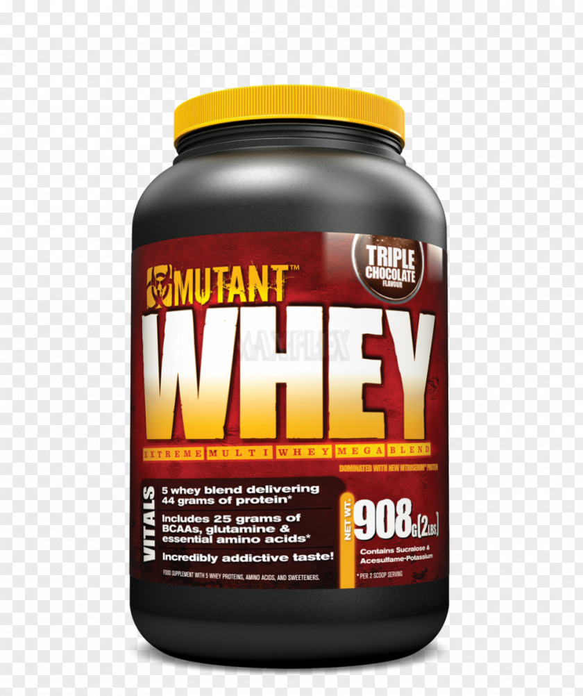 Dietary Supplement Whey Protein Branched-chain Amino Acid Bodybuilding PNG