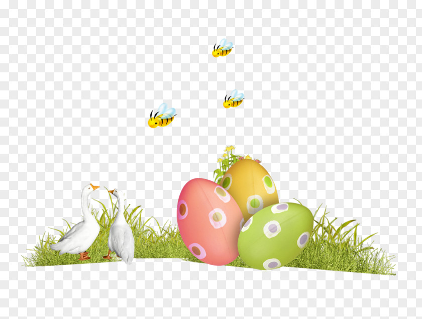 Easter Egg Desktop Wallpaper PNG