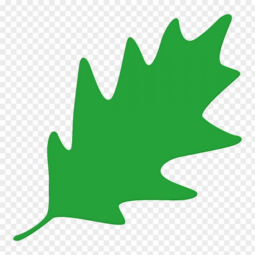 Maple Leaf PNG