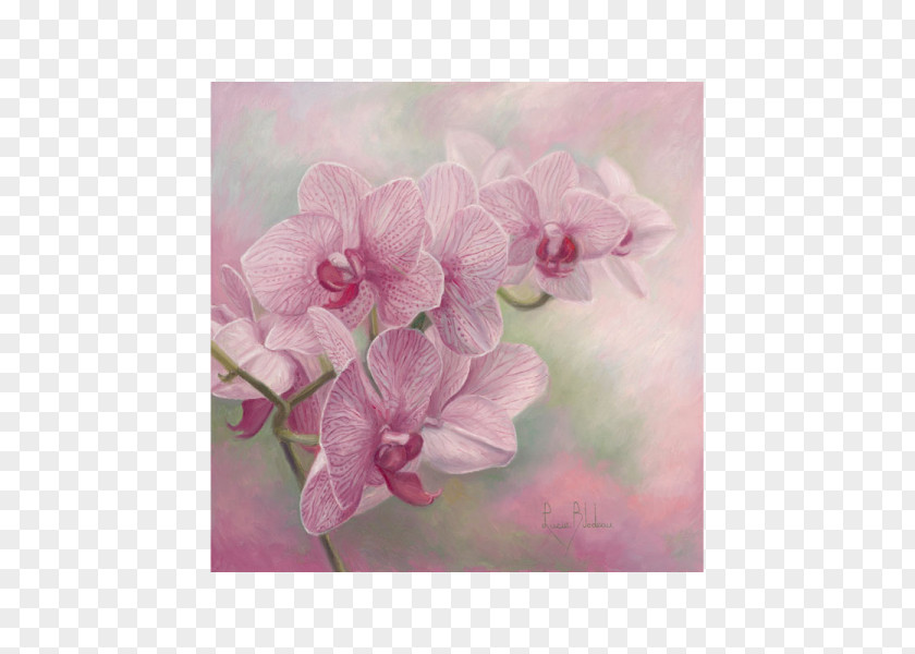 Painting Watercolor Oil PNG