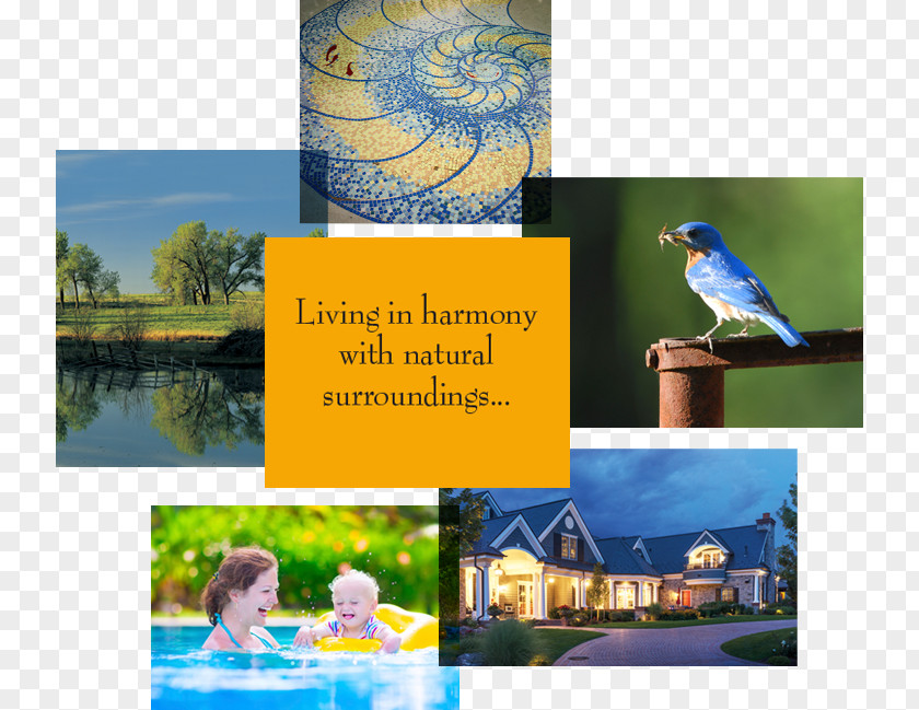 Preserve Nature Reserve Ecosystem Fauna Water Resources PNG