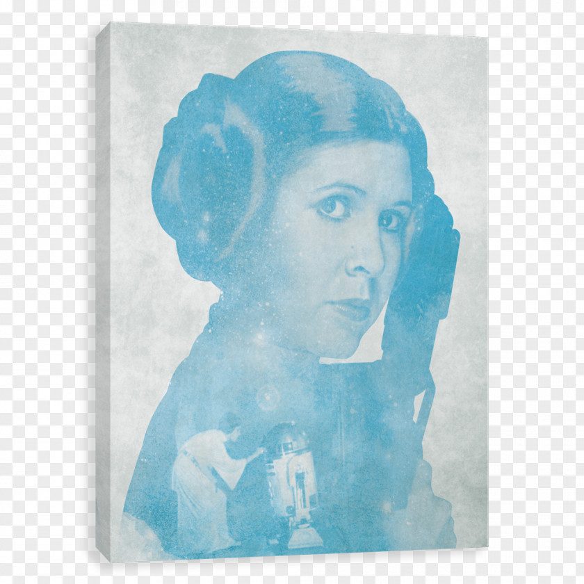 Star Wars Leia Organa Jyn Erso Art Poster PNG